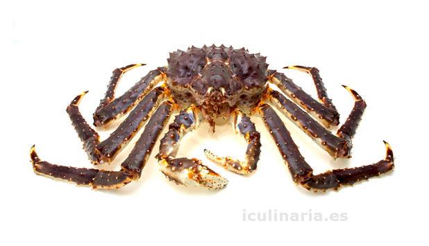 cangrejo real | Innova Culinaria
